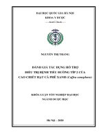 Khóa luận tốt nghiệp ngành Dược học: Đánh giá tác dụng hỗ trợ điều trị bệnh tiểu đường type 2 của cao chiết hạt cà phê xanh (Coffea canephora)