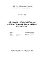 Giải pháp phát triển nuôi cá lồng vùng lòng hồ thủy điện sơn la tại huyện quỳnh nhai, tỉnh sơn la 