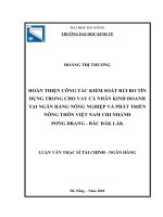 Hoàn thiện công tác kiểm soát rủi ro tín dụng trong cho vay cá nhân kinh doanh tại ngân hàng nông nghiệp và phát triển nông thôn việt nam chi nhánh  pơng drang bắc đắk lắk 