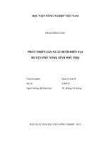 Phát triển sản xuất bưởi diễn tại huyện phù ninh, tỉnh phú thọ 