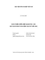 Hoàn thiện chiến lược marketing   mix dịch vụ internet băng rộng tại VNPT bắc ninh 