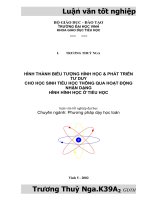 Hình thành biểu tượng hình học  phát triển tư duy cho học sinh tiểu học thông qua hoạt động nhận dạng hình hình học ở tiểu học  