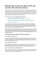 Những câu ca dao tục ngữ về anh em