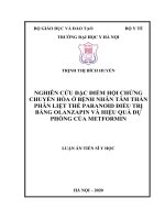 Luận án nghiên cứu đặc điểm hội chứng chuyển hóa ở bệnh nhân tâm thần phân liệt thể paranoid điều trị bằng olanzapin và hiệu quả dự phòng của metformin 