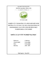 Khoá luận nghiên cứu ảnh hưởng của phân bón đến sinh trưởng của cây rau tàu bay (crassocephalum crepidioides) tại vườn ươm mô hình thực nghiệm khoa lâm nghiệp 