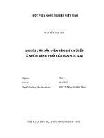 Nghiên cứu đặc điểm bệnh lý chủ yếu ở nhóm bệnh phổi của lợn siêu nạc 