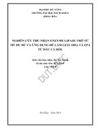 Luận văn thạc sĩ nghiên cứu thu nhận enzyme lipase thô từ mủ đu đủ và ứng dụng để làm giàu dha và epa từ dầu cá hồi 