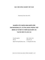 Nghiên cứu nhân sinh khối nấm trichoderma SP  và ứng dụng phòng trừ bệnh lở cổ rễ và thối hạch bắp cải tại hà nội và lào cai 