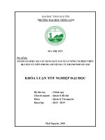 Khoá luận đánh giá hiệu quả sử dụng đất sản xuất nông nghiệp trên địa bàn xã tiên phong, huyện ba vì, thành phố hà nội 
