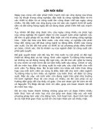 THIẾT kế bộ băm XUNG áp một CHIỀU nối TIẾP cấp CHO PHẦN ỨNG ĐỘNG cơ một CHIỀU KÍCH từ độc lập