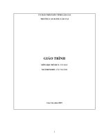 Giáo trình Tin học - Trường CĐ Cộng đồng Lào Cai