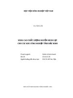 Nâng cao chất lượng nguồn nhân lực cho các khu công nghiệp tỉnh bắc ninh 