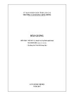 Bài giảng Lý thuyết các loại hình nghệ thuật (Ngành: Quản lý văn hóa) - Trường Cao đẳng Lào Cai