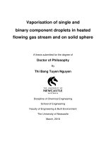 Luận văn thạc sĩ vaporisation of single and binary component droplets in heated flowing gas stream and on solid sphere 