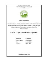 Khoá luận nghiên cứu và đánh giá sinh trưởng loài cây nghệ đen (curcumazedoaria) thuộc nhóm lâm sản ngoài gỗ tại mô hình khoa lâm nghiệp đại học nông lâm thái nguyên 