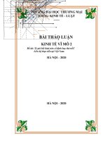 Thảo luận nhóm TMU môn kinh tế vĩ mô 2 tỷ giá hối đoái nên cố định hay thả nổi liên hệ thực tiễn tại việt nam 