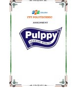 Nghiên cứu hành vi khách hàng sản phẩm khăn giấy Pulppy