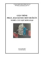 Giáo trình Phay, bào rãnh chốt đuôi én (Nghề: Cắt gọt kim loại) - Trường CĐ Cộng đồng Lào Cai