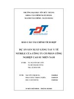 BÁO CÁO TÀI CHÍNH TÍCH HỢP DỰ ÁN SẢN XUẤT GĂNG TAY Y TẾ NITRILE CỦA CÔNG TY CỔ PHẦN CÔNG NGHIỆP CAO SU MIỀN NAM