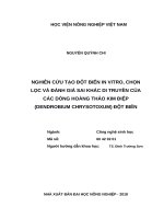 Luận văn thạc sĩ nghiên cứu tạo đột biến in vitro, chọn lọc và đánh giá sai khác di truyền của các dòng hoàng thảo kim điệp (dendrobium chrysotoxum) đột biến 
