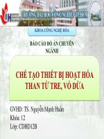 Báo cáo đồ án chuyên ngành  chế tạo thiết bị hoạt hóa than từ tre, vỏ dừa 