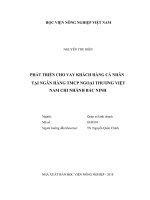 Luận văn thạc sĩ phát triển cho vay khách hàng cá nhân tại ngân hàng TMCP ngoại thương việt nam chi nhánh bắc ninh 