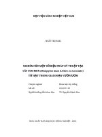 Luận văn thạc sĩ nghiên cứu một số biện pháp kỹ thuật tạo cây con mun (diospyros mun a chev  ex lecomte) từ hạt trong giai đoạn vườn ươm 