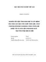 Luận văn thạc sĩ nghiên cứu đặc tính sinh học và gây bệnh của virus gây dịch tiêu chảy trên lợn (PEDV   porcine epidemic diarrhea virus) phân lập được từ các đàn lợn yorkshire nuôi tại vùng phụ cận hà nội 