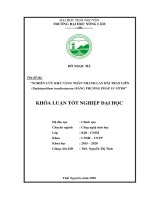 Khóa luận tốt nghiệp đại học: Nghiên cứu khả năng nhân nhanh lan hài Trần Liên (Paphiopedilum tranlienianum) bằng phương pháp in vitro