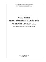 Giáo trình Phay, bào rãnh và cắt đứt (Nghề: Cắt gọt kim loại) - Trường CĐ Cộng đồng Lào Cai
