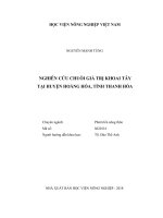 Luận văn thạc sĩ nghiên cứu chuỗi giá trị khoai tây tại huyện hoàng hóa, tỉnh thanh hóa 