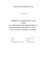 Luận văn thạc sĩ nghiên cứu xác định giống và ảnh hưởng của một số công thức bón phân hữu cơ đến sinh trưởng, phát triển và năng suất cây lạc tại yên dũng   bắc giang 