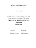 Luận văn thạc sĩ nghiên cứu đặc điểm sinh học, sinh thái nhện bắt mồi amblyseius largonesis (muma) tại gia lâm, hà nội năm 2017   2018 