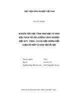 Luận văn thạc sĩ nghiên cứu đặc tính sinh học và phân tử của chủng virus nhược độc kty   prrs   04 gây hội chứng rối loạn hô hấp và sinh sản ở lợn 