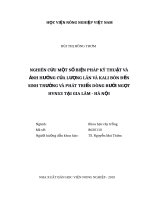 Luận văn thạc sĩ nghiên cứu một số biện pháp kỹ thuật và ảnh hưởng của lượng lân và kali bón đến sinh trưởng và phát triển dòng bưởi ngọt HVN53 tại gia lâm hà nội 