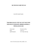 Luận văn thạc sĩ tình hình sản xuất, tiêu thụ và kỹ thuật bón phân cho cây chùm ngây (moringa oleifera l ) trên địa bàn hà nội 