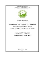 Luận văn Thạc sĩ Công nghệ sinh học: Nghiên cứu nhân giống cây Sói rừng (Sarcandra glabra (Thunb.) Nakai) bằng kỹ thuật nuôi cấy in vitro