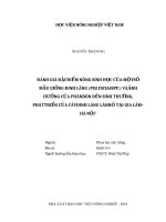 (Luận văn thạc sĩ) đánh giá đặc điểm nông sinh học của một số mẫu giống đinh lăng (polyscias SPP ) và ảnh hưởng của phân bón đến sinh trưởng, phát triển của cây đinh lăng lá nhỏ tại gia lâm   hà nội 
