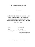 (Luận văn thạc sĩ) nghiên cứu một số đặc điểm sinh học, sinh thái của ruồi đục quả phương đông bactrocera dorsalis hendel hại na tại chi lăng, lạng sơn năm 2016   2017 