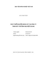 (Luận văn thạc sĩ) phát triển nguồn nhân lực tại công ty TNHH MTV thương mại hiệp quang 