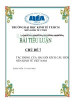 TÁC ĐỘNG của HAI gói KÍCH cầu đến nền KINH tế VIỆT NAM 