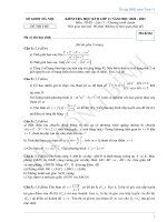 Đề thi học kì II lớp 11 tự luận