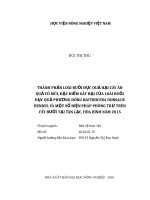 (Luận văn thạc sĩ) thành phần loài ruồi đục quả hại cây ăn quả có múi, đặc điểm gây hại của loài ruồi đục quả phương đông bactrocera dorsalis hendel và một số biện pháp phòng trừ tr 