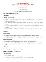 Mẫu giáo án Mĩ thuật Lớp 2 SGK Chân trời sáng tạo