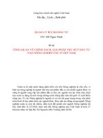 Tiểu luận TỔNG QUAN về CHÍNH SÁCH, GIẢI PHÁP THU hút đầu tư vào NÔNG NGHIỆP CNC ở VIỆT NAM