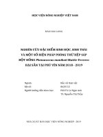 (Luận văn thạc sĩ) nghiên cứu đặc điểm sinh học, sinh thái và một số biện pháp phòng trừ rệp sáp bột hồng phenacoccus manihoti matile ferrero hại sắn tại phú yên năm 2018 2019 