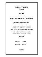 Nghiên cứu lượng từ bất định 点儿 và 些 trong tiếng hán hiện đại đối chiếu với từ biểu thị nghĩa tương đương trong tiếng việt ngôn ngữ học 