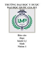 báo cáo thực hành lý sinh (bản chính thức)