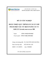 Đồ án tốt nghiệp: Hoàn thiện quy trình sản xuất chế phẩm diệt sâu từ dịch nuôi cấy vi khuẩn Serratia marcescens HB