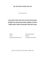 Giải pháp thúc đẩy cho vay đối với doanh nghiệp tại ngân hàng nông nghiệp và phát triển nông thôn chi nhánh tỉnh bắc ninh ( luận văn thạc sĩ  quản trị kinh doanh) 